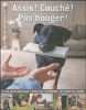 Assis, couché, pas bouger !