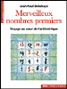 Merveilleux  nombres premiers