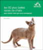 Les races de chat