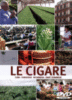 Cigare