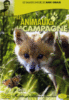 Les animaux de la campagne