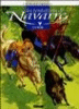 Les Tentations de Navarre - Les Tentations de Navarre, T2