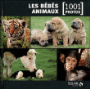 Les bébés animaux en 1001 photos
