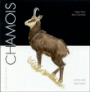 Chamois