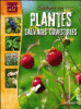 Cultivez les plantes sauvages comestibles
