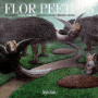 Flor Peeters