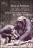 Kaluchua