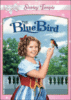 L'Oiseau bleu