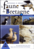 Apprenez à observer la faune de Bretagne