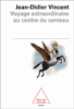 Voyage extraordinaire au centre du cerveau