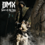 DMX
