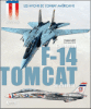 Le F-14 Tomcat