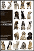 Encyclopédie internationale des chiens