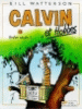 Calvin et Hobbes, T13&nbsp;-&nbsp;Bill Watterson