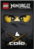Ninjago Cole