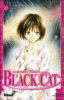 Black cat - Black cat, T13