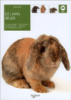 Le lapin bélier