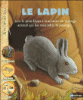 Le lapin
