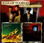 Wall of Voodoo