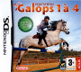 Equitation Galop 1 à 4