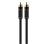 Belkin câble coaxial digital RCA/RCA 2m