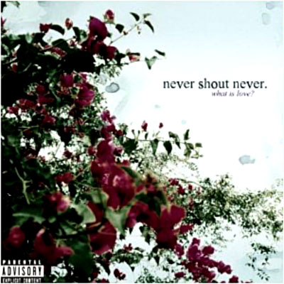 What is love Never Shout Never what is love nevershoutnever album. What is love Never Shout Never