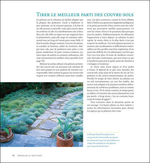 Plantes couvre-sol : des idées originales pour un jardin plein de couleurs sans entretien
