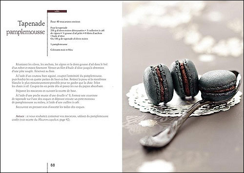 Délicieux macaron salés