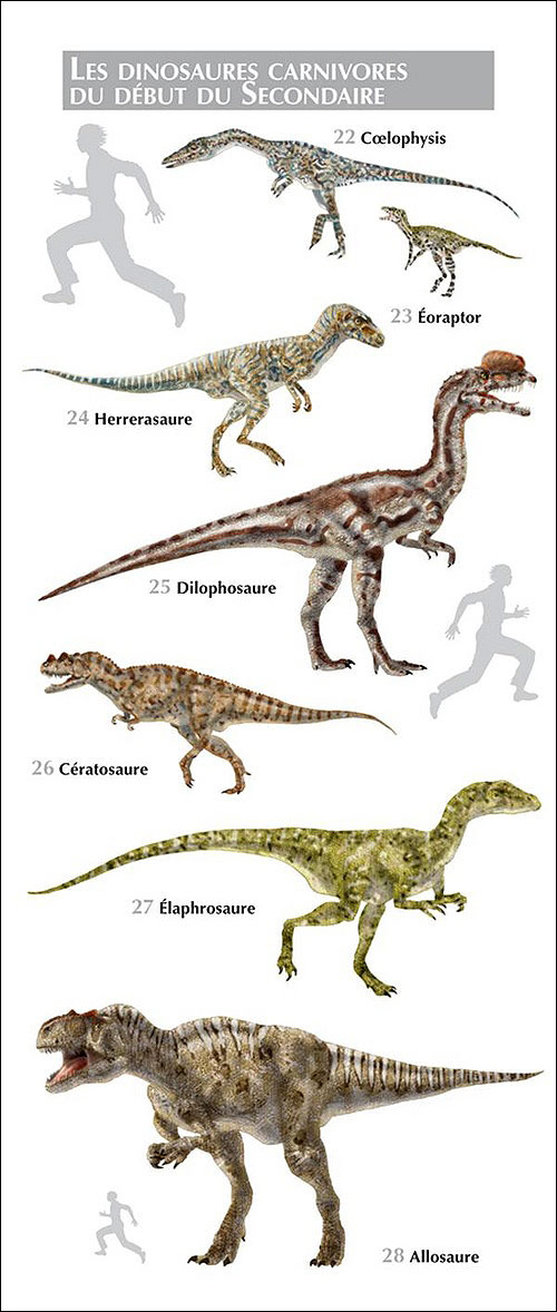 Petit atlas des dinosaures et autres animaux  préhistoriques