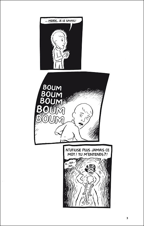 Je ne t'ai jamais aimé