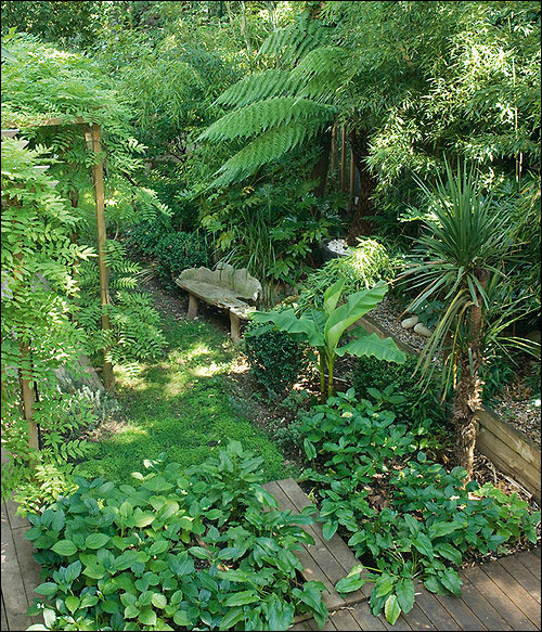 20 jardins en ville : beaux toute l'année, faciles à vivre