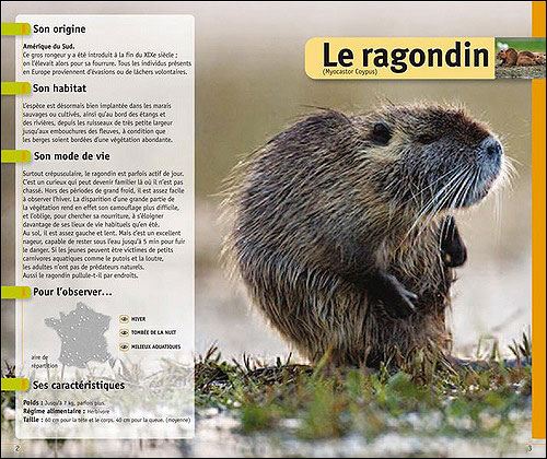 Guide du pisteur débutant