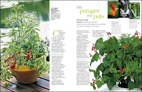 Jardins en pots au fil des saisons
