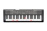 Confronta prezzi Casio lk-120