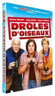 Photo : Drôles d'oiseaux