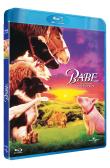 Photo : Babe, le cochon devenu berger