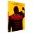 Mandela : Un long chemin vers la liberté DVD