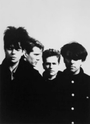 Portrait de Echo and the Bunnymen