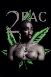 Portrait de 2 Pac
