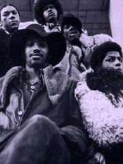 Portrait de Funkadelic