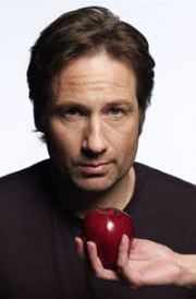 Portrait de David Duchovny