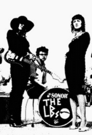 Portrait de The Long Blondes