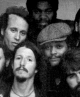 Portrait de The Doobie Brothers