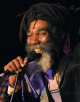 Don Carlos