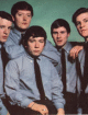 The Animals
