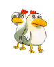 Les p'tites poules