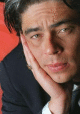 Benicio Del Toro