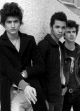 Portrait de BB Brunes