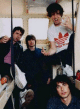 Portrait de The Rapture