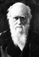 Portrait de Charles Darwin